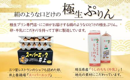 にこ田の極生ぷりん6個セット ／ プリン スイート デザート おやつ 絹の口どけ こだわり素材 埼玉県