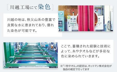 【1秒タオル】ホットマンカラー ヘアバスタオル2枚セット