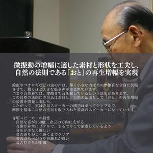 TeragakiスピーカーTERRA-SP3000 Matthew