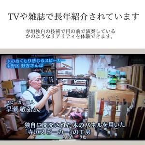 TeragakiスピーカーTERRA-SP3000 Matthew