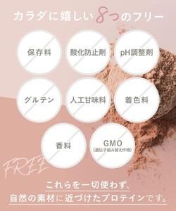 最高級植物性プロテイン使用。GoCLN(ゴークリーン）ビーガンプロテイン 600g　有機ココア味