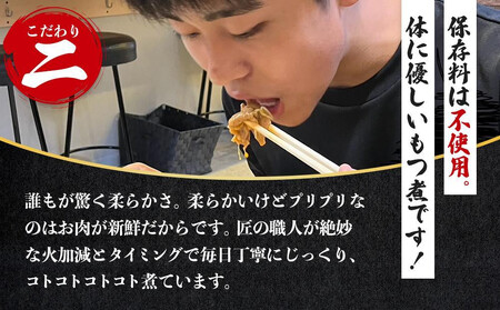 国産豚もつ使用！とろけるほど柔らかい究極のもつ煮 500g×2袋