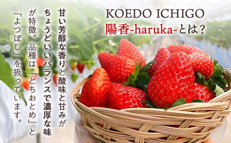 @FARM いちごのパウンドケーキ2個セット