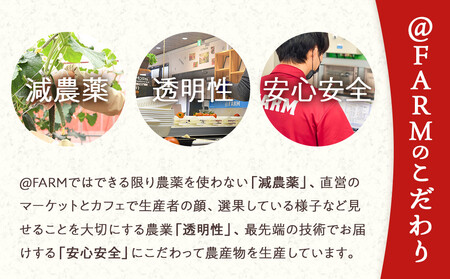 @FARM いちごのパウンドケーキ2個セット