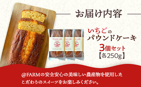  ＠FARM　いちごのパウンドケーキ3個セット