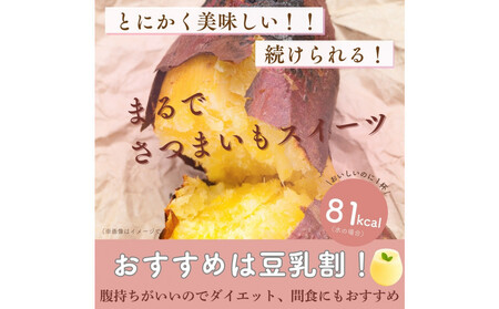 川越発さつまいも味のソイプロテイン カワゴエ イモテイン 500g×3袋