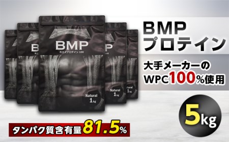 BMPプロテイン ナチュラル 5kg【1280712】