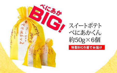 No.869 スイートポテトべにあかくん6個入（BIG専用巾着）