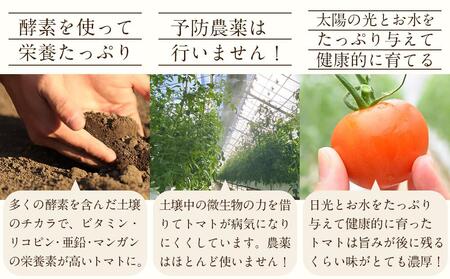 無添加いちごジャム・トマトジャムセット ／ 苺 イチゴ とまと 砂糖不使用 埼玉県