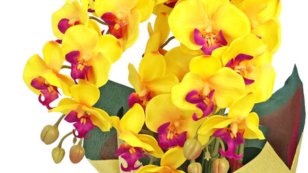 造花 シルクフラワーの胡蝶蘭の鉢植え 3本立 CT触媒 イエロー / お花 コチョウラン 埼玉県