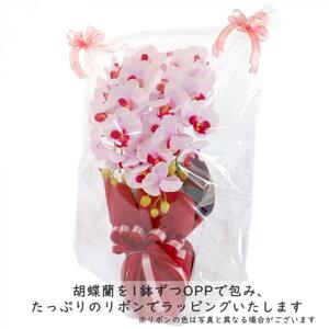 造花 シルクフラワーの胡蝶蘭の鉢植え 3本立 CT触媒 イエロー / お花 コチョウラン 埼玉県