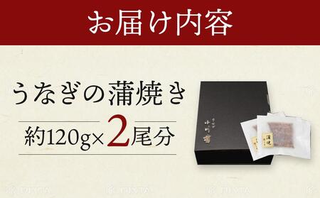小川菊のうなぎの蒲焼き 2尾分 / 鰻 ウナギ 埼玉県