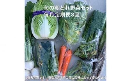 No.844 旬の朝どれ野菜セット×3回