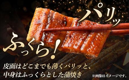 小川菊のうなぎの蒲焼き 4尾分 ／ 鰻 ウナギ 埼玉県
