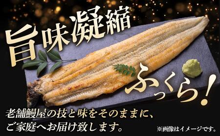 小川菊のうなぎの白焼き 4尾分 ／ 鰻 ウナギ 埼玉県