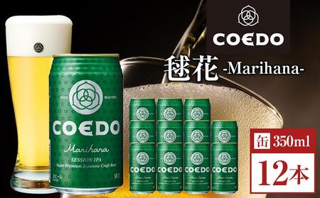 コエドビール　毬花-Marihana- 缶12本 ／ お酒 プレミアムピルスナービール 地ビール クラフトビール 埼玉県 特産品