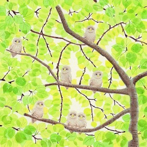 栗乃木ハルミ版画額装品「7owlets」【1242923】