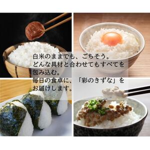 令和7年産 埼玉県産 彩のきずな 精米 (5kg×1袋)埼玉のお米【1687329】
