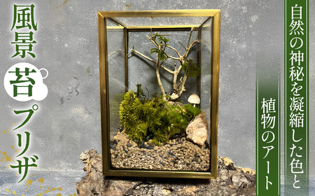 風景 苔プリザ No.355