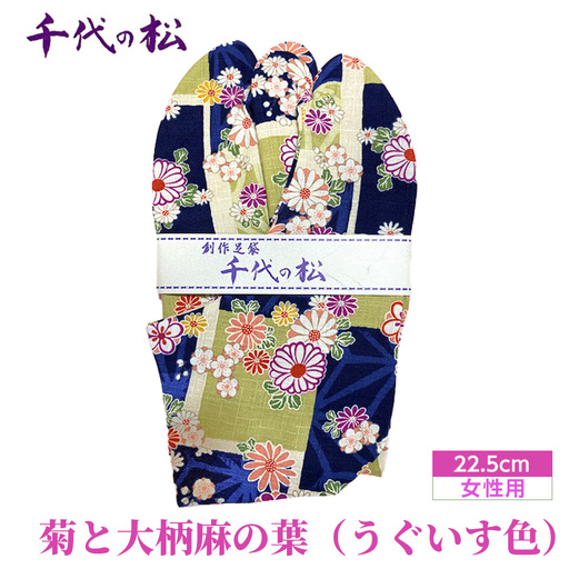 菊と大柄麻の葉（うぐいす色）（女性用：22.5cm） No.371-03