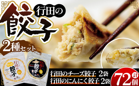 餃子セット（行田のチーズ餃子・行田のにんにく餃子）各2袋 No.419 12,480円