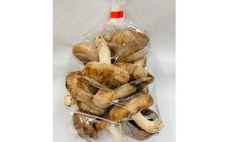 訳ありでも美味しい!自然の恵み生椎茸720g No.467