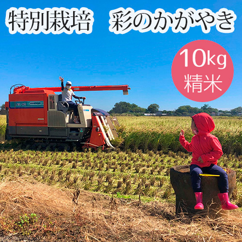 特別栽培 彩のかがやき 精米10kg No.480