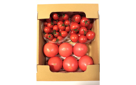 トマト いろいろ詰合せセット 1.8kg入り箱 ／ とまと 野菜 新鮮 完熟 ミニ 中玉 大玉 3種類 詰め合わせ セット 食べ比べ 産地直送 農家直送 サラダ 行田市産 埼玉県 特産 No.508