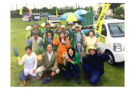 手づくりしあわせかりんとう 5個入 No.293