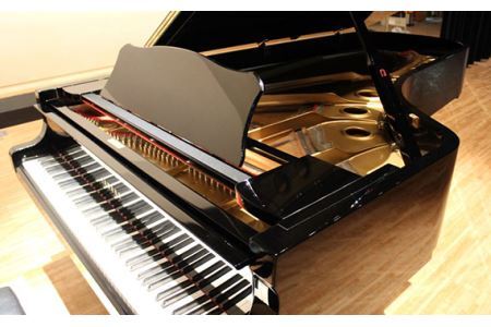 行田市産業文化会館 大ホールをひとりじめ！（ピアノ利用あり） No.313