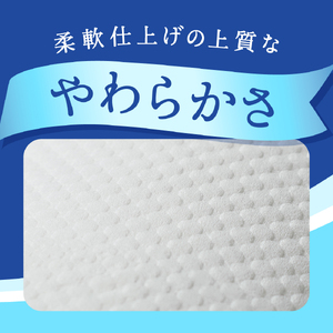 【シングル】エリエール トイレットティシュー12ロール×6パック ／ トイレットペーパー ティッシュ 大容量 やわらかめ 柔らかめ やわらかい 柔らかい 香り付き 香りつき 埼玉県 No.160