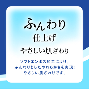【シングル】エリエール トイレットティシュー12ロール×6パック ／ トイレットペーパー ティッシュ 大容量 やわらかめ 柔らかめ やわらかい 柔らかい 香り付き 香りつき 埼玉県 No.160