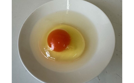 彩美卵　寿　10個 No.421