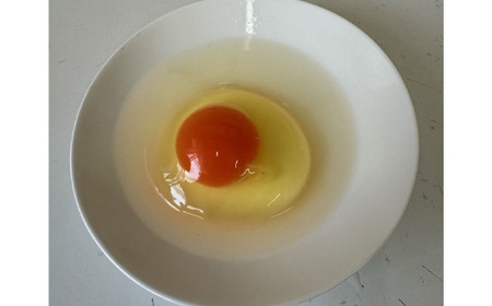 彩美卵　寿　20個 No.423