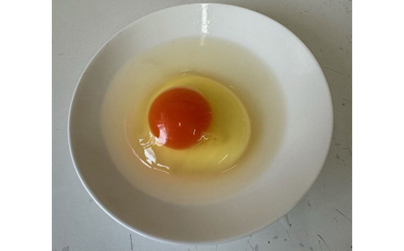 彩美卵20個 No.425