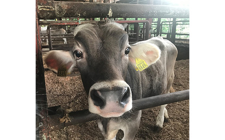 生ハムとチーズのオリーブオイル漬け 2個セット No.430