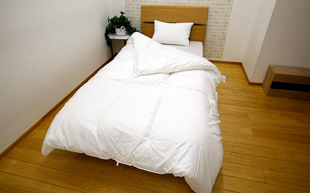 SNフレッシュプロ 掛けふとん シングル No.497