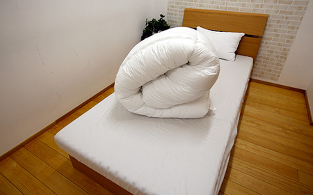 SNフレッシュプロ 掛けふとん シングル No.497