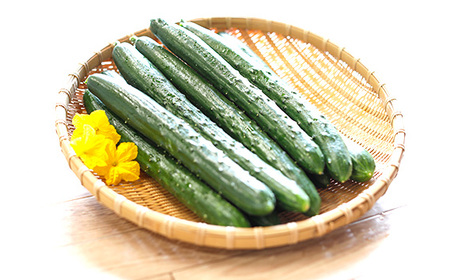 秩父ピクルス赤白セット No.501