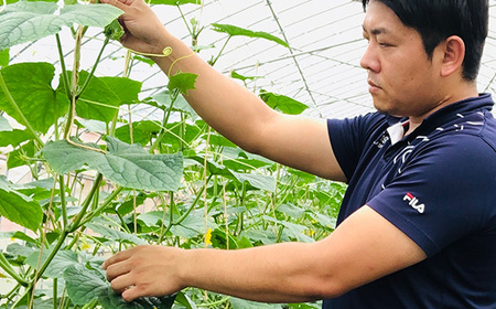 秩父ピクルス赤白セット No.501