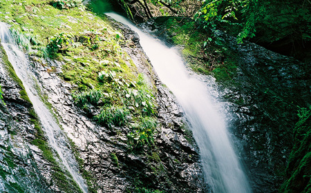 5年保存水2L×6本 No.507