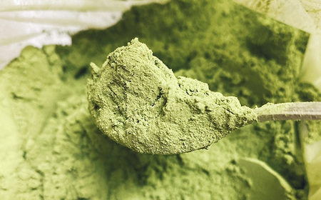 グリーンティーと森の蜂蜜のチーズテリーヌ No.515