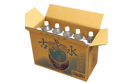 【6か月定期便】古代水2L×10本 No.524 【6か月定期便】古代水2L×10本 No.524