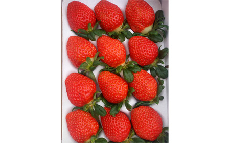 べにたま　ただかね農園　約400g No.548