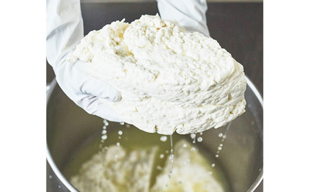 ホエイのきもち24本セット（プレーン・ゴールデンカボス・ブルーベリー） No.585