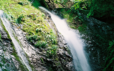 秩父奇跡の水 古代水 No.013