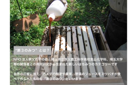 秘蜜×林檎と秘蜜の匙セット No.109