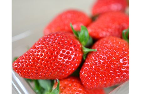 秩父のやよいひめ 4パック No.214