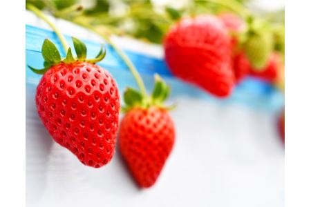 秩父のやよいひめ 4パック No.214