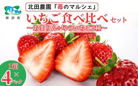 ＜先行予約/数量限定＞ いちごマルシェ 旬のいちご食べ比べセット 1箱(4パック入り) 所沢北田農園 | ｲﾁｺﾞ いちご 苺 いちご ｲﾁｺﾞ 埼玉県 ｲﾁｺﾞ 果物 いちご 所沢市 旬 いちご